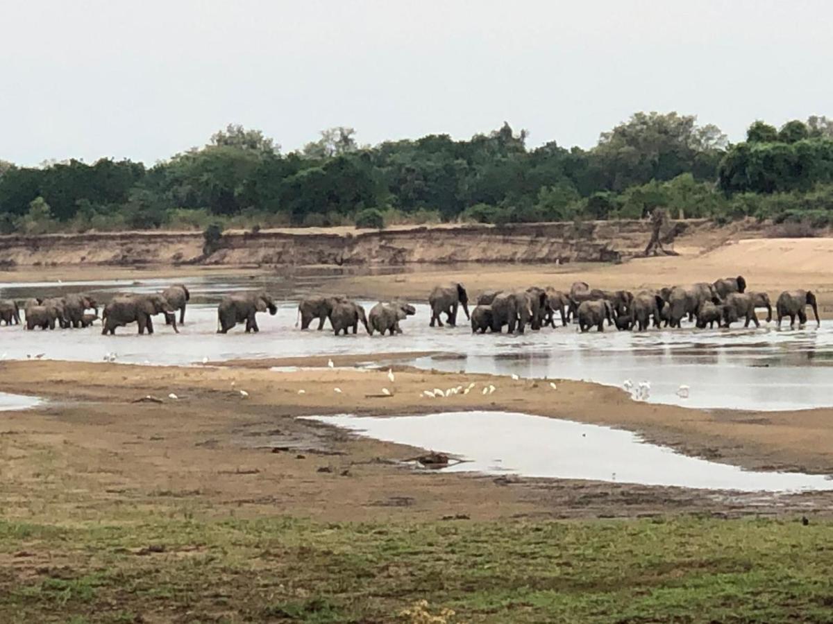 Msandile River Lodge Kakumbi Bagian luar foto