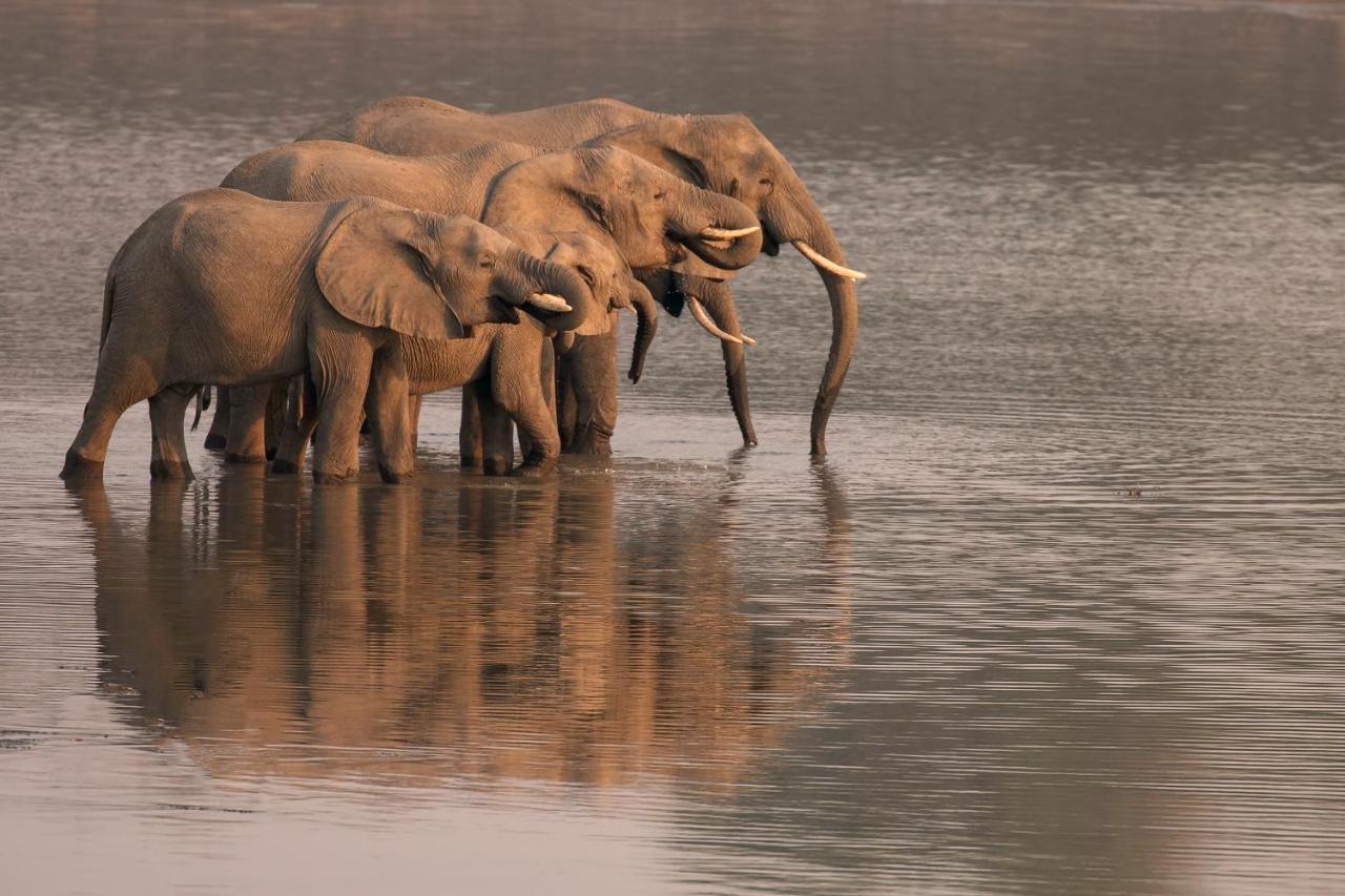 Msandile River Lodge Kakumbi Bagian luar foto