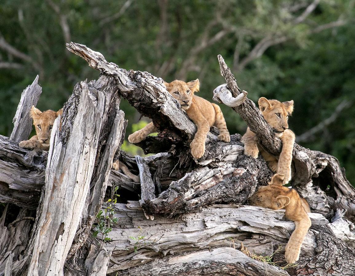 Msandile River Lodge Kakumbi Bagian luar foto