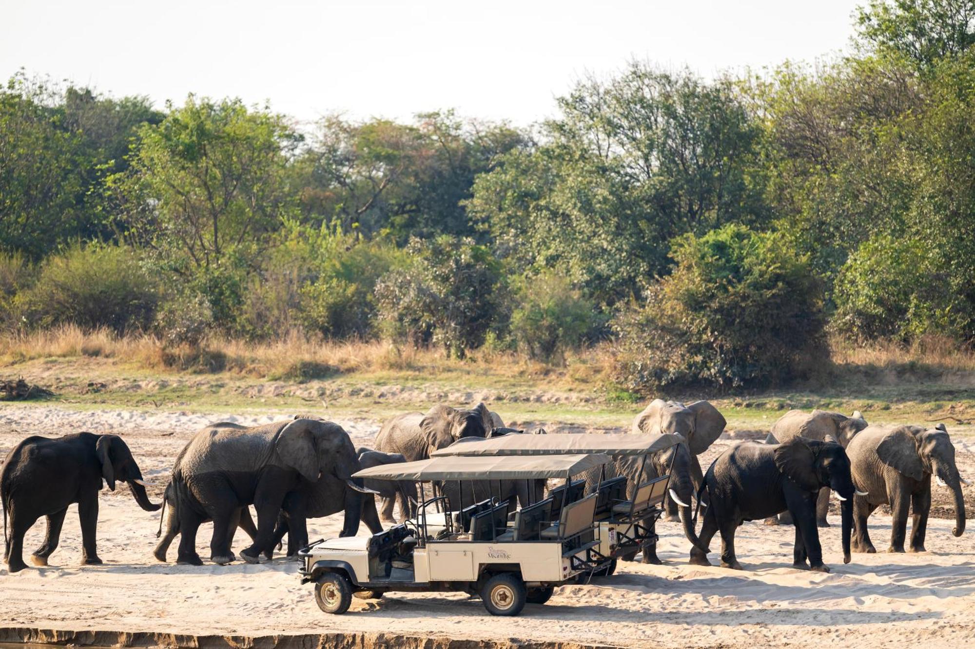 Msandile River Lodge Kakumbi Bagian luar foto