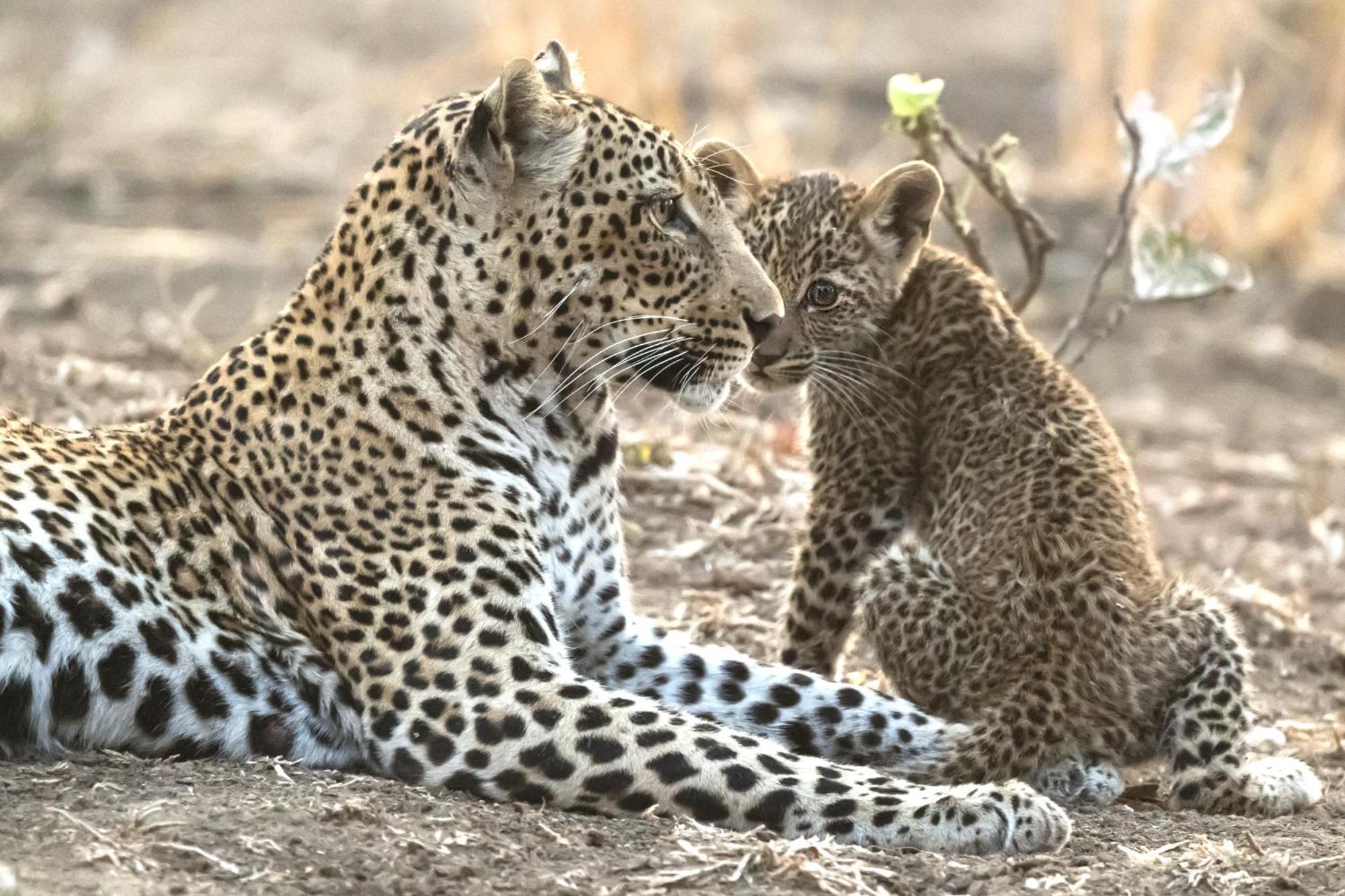 Msandile River Lodge Kakumbi Bagian luar foto