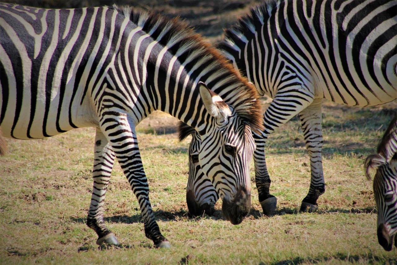 Msandile River Lodge Kakumbi Bagian luar foto