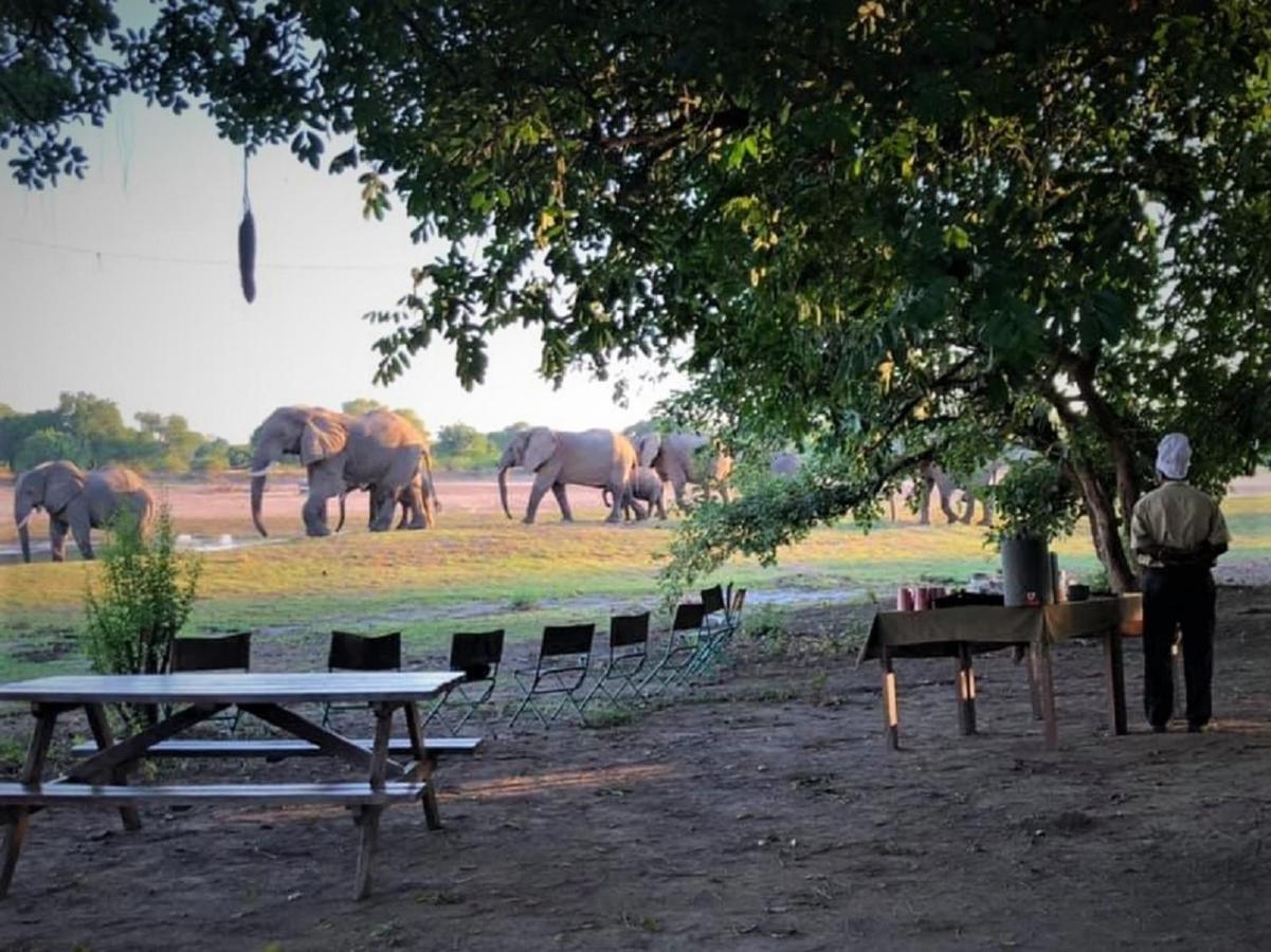 Msandile River Lodge Kakumbi Bagian luar foto